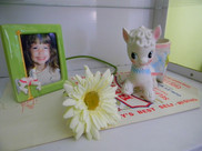 IMG_4835.jpeg