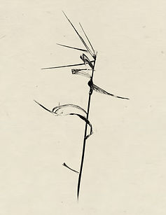 Untitled_Artwork 19.jpg