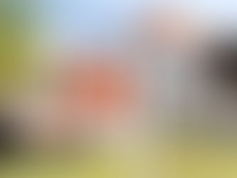 What’s Next for the U.S. Real Estate Market?