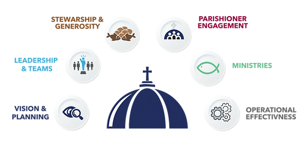 OMS-Service-Infographic-no-bkgrnd.png