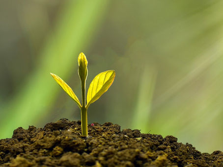 Orthodox Christian Personal Growth Plan