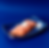 Sashimi saumon image