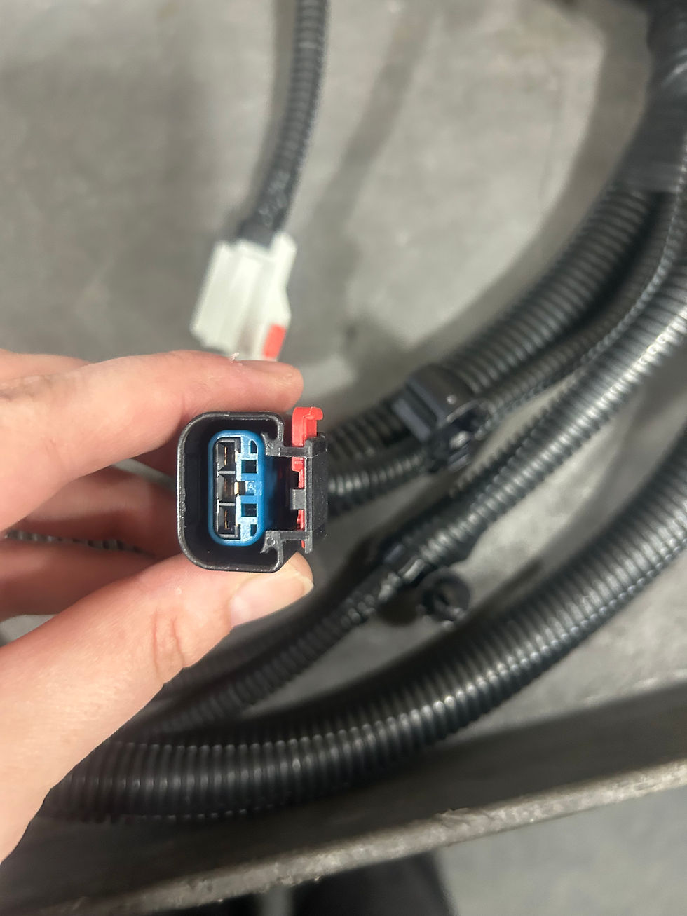 Thumbnail: WIRING HARNESS ASSEMBLY ENGINE SENSOR (DDE23536241)