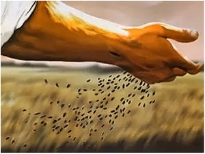 In the parable of the sower, Jesus said in Luke 8:7,
“And some fell among thorns, and the thorns sprang up with it and choked it.”