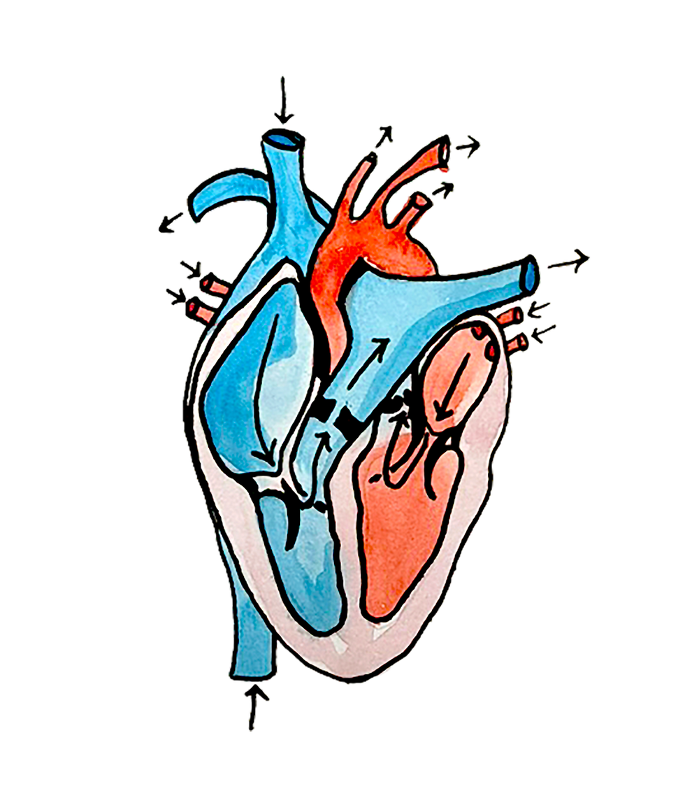 watercolor_heart.png