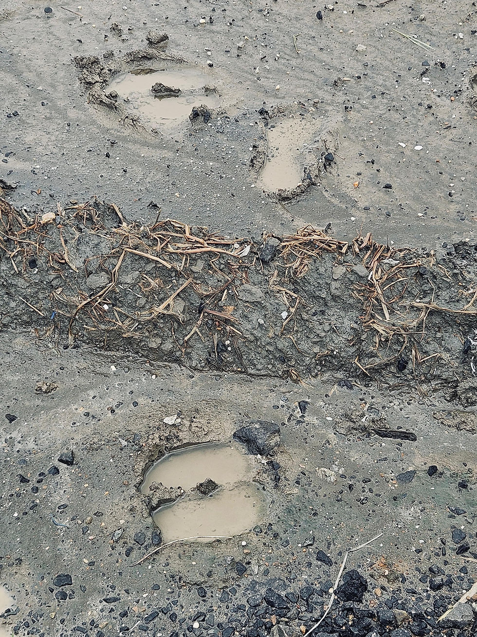 clay rich, mucky soil observed at site