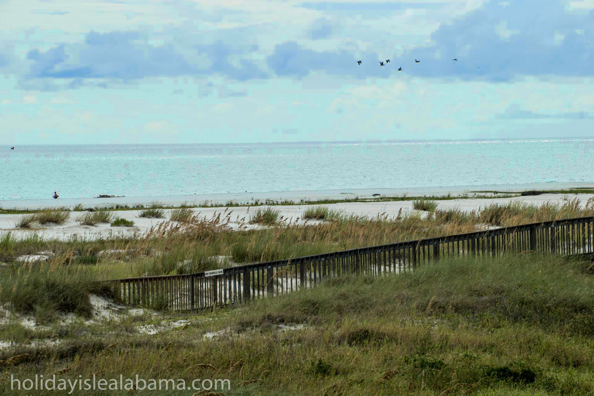 Dauphin of France visual data 4