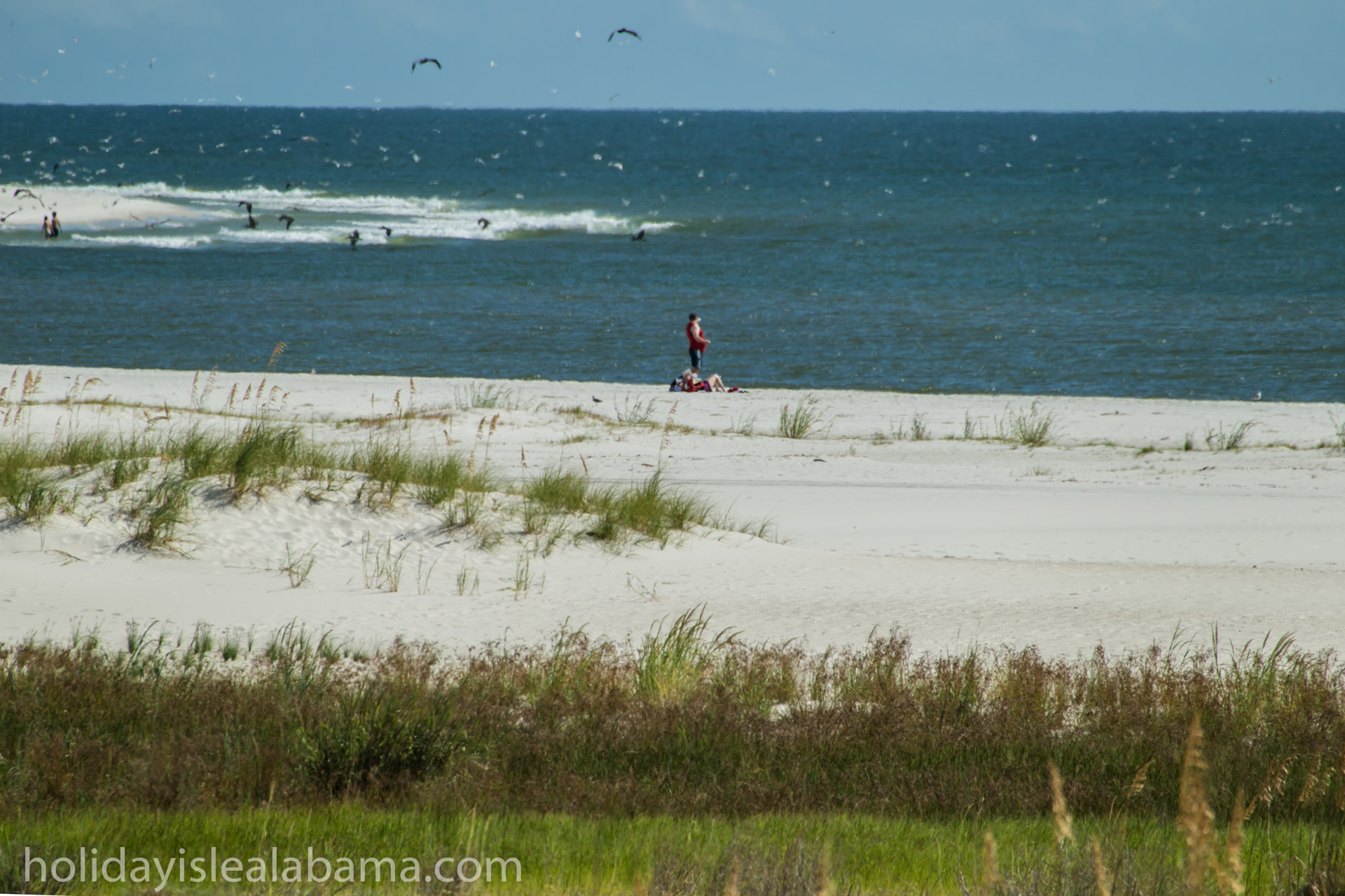 Dauphin of France visual data 5