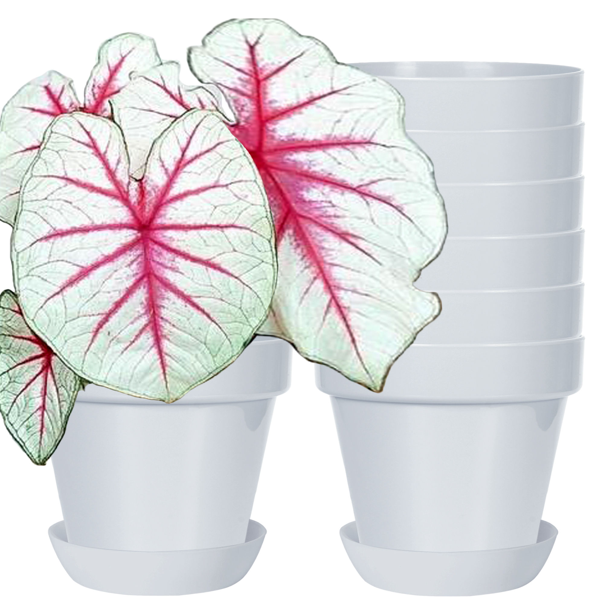 Youngever 7 Pack 6.5 Inch Plastic Planters, Indoor Flower Plant Pots