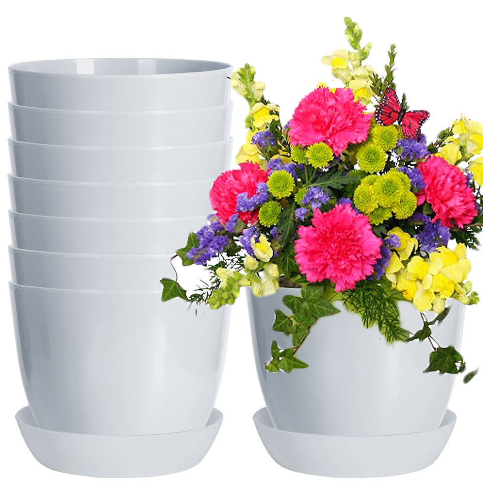 Youngever 8 Pack 5.5 Inch Plastic Planters with Saucers Indoor Flower Plant Pots