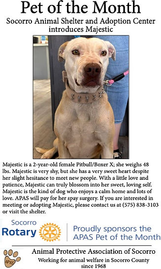 Pet of the Month (April 2026).jpg