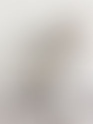 Margarita, a Vibrant New Contract Vinyl Wallcovering Collection