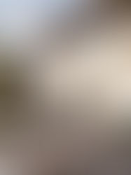 Modern patio with two green chairs and table by a pool. Walls adorned with botanical murals. Sunny, serene garden setting.