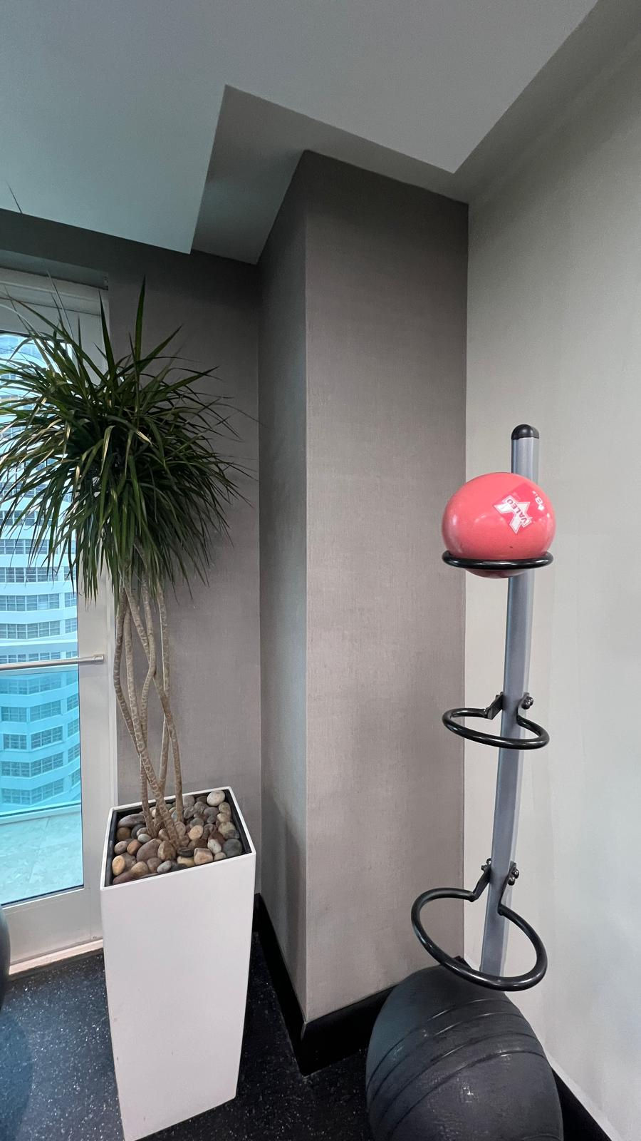 Fitness facility at The Plaza on Brickell featuring commercial gym wallcovering DYW103403 on perimeter walls with exercise balls, cardio equipment, and floor-to-ceiling windows.