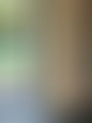 Pinecrest Foyer and Hallway Wallpaper Installation – Mastering Architectural Wood Veneer Transitions