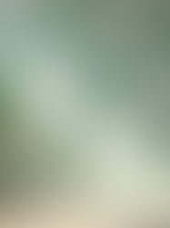 Florida’s interior design scene is evolving fast, and luxury wallpaper plays a big role in shaping the state’s stylish homes. From Miami’s vibrant art deco flair to the serene coastal vibes of Naples, wallpaper trends reflect Florida’s diverse culture and climate. If you want to refresh your space with a touch of elegance, knowing the current luxury wallpaper styles is essential.