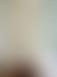 Bedroom with bed, round wooden nightstand, and box of tissues. Wall features green palm leaf pattern on white. Calm, tropical vibe.