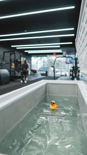 Rubber ducky in modern gym pool