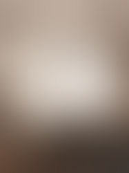 Beige bedroom with a large bed, gray accents, and nature-themed wallpaper. Sunlit windows, cozy chair, and a serene, elegant mood.