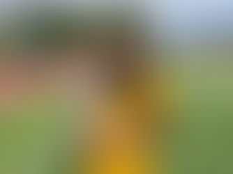 Tianna Madison Visits Elyria Youth Track Club Practice