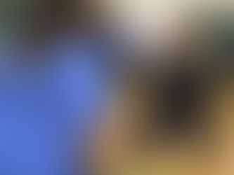 Nicholson family shares softball, sports talents at Elyria South Baseball Club clinic