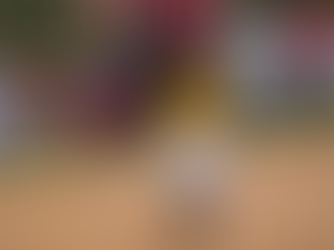 South Tee Ball Baseball Club opening day at South Park