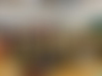 Over 50 boys and girls attend Elyria South Baseball winter camp clinic