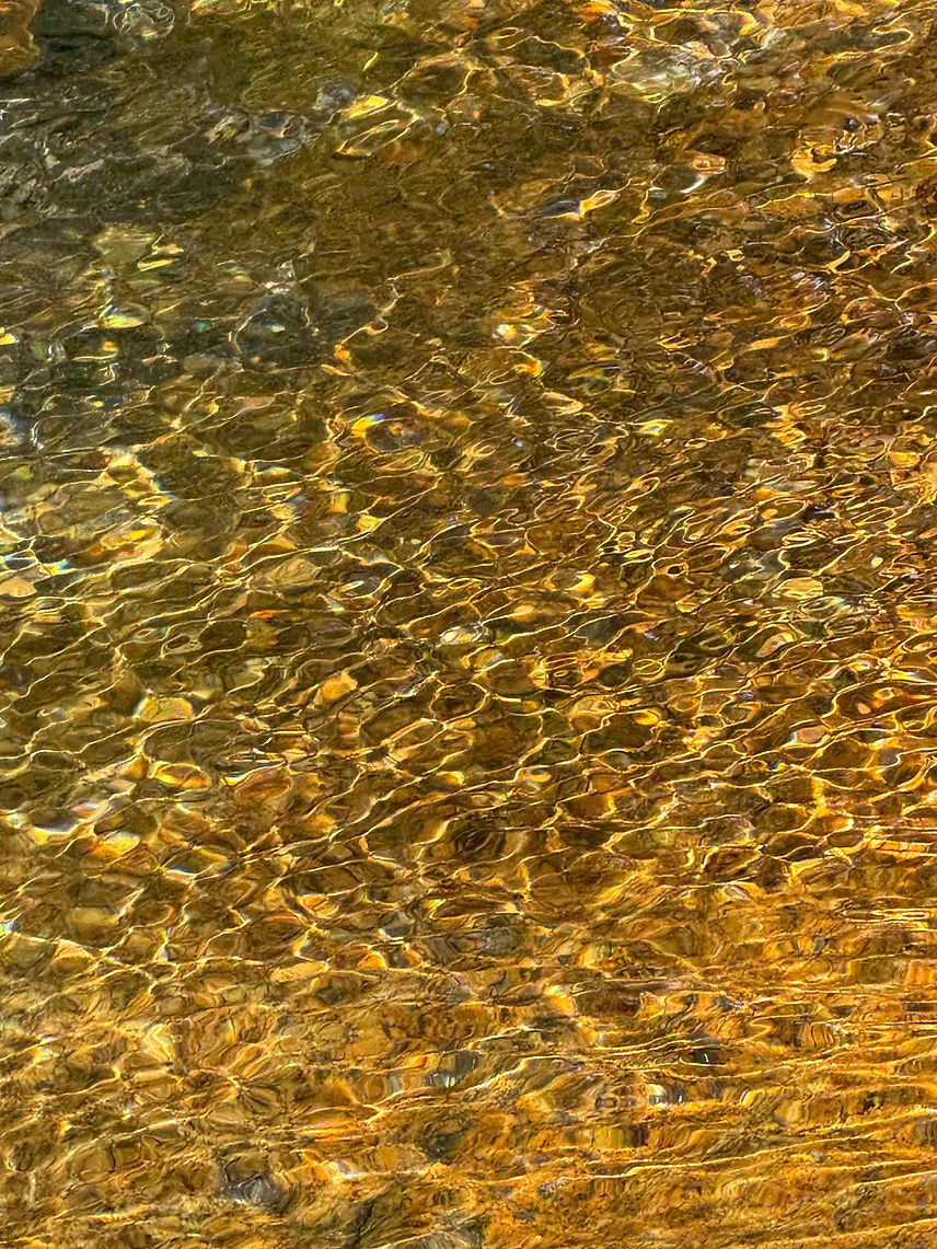 Gold River Bottom IMG_4009.JPG