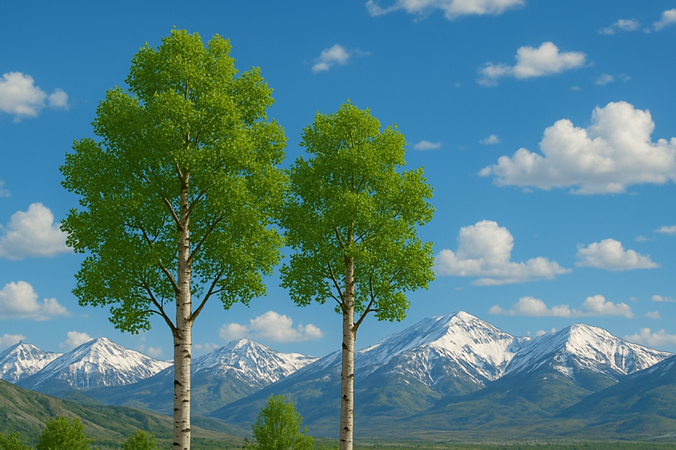 ChatGPT Image Apr 28, 2025 at 07_50_11 PM.png