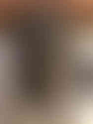 Brownstone face resembling Olivia Langdon Clemens.