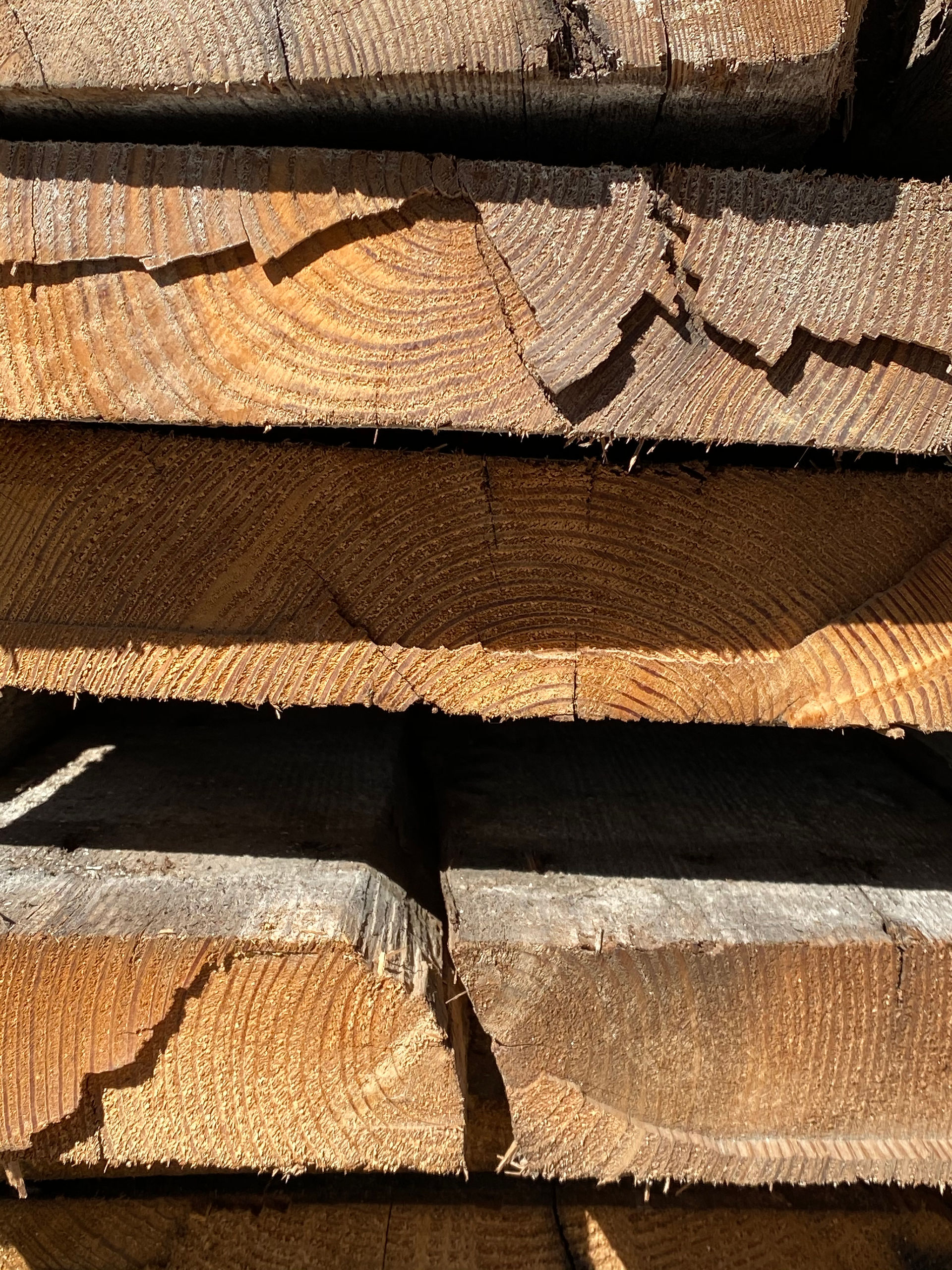 Reclaimed old growth and secondary growth Longleaf Pine (Pinus palustris) for sale by Bruce Gerrie.