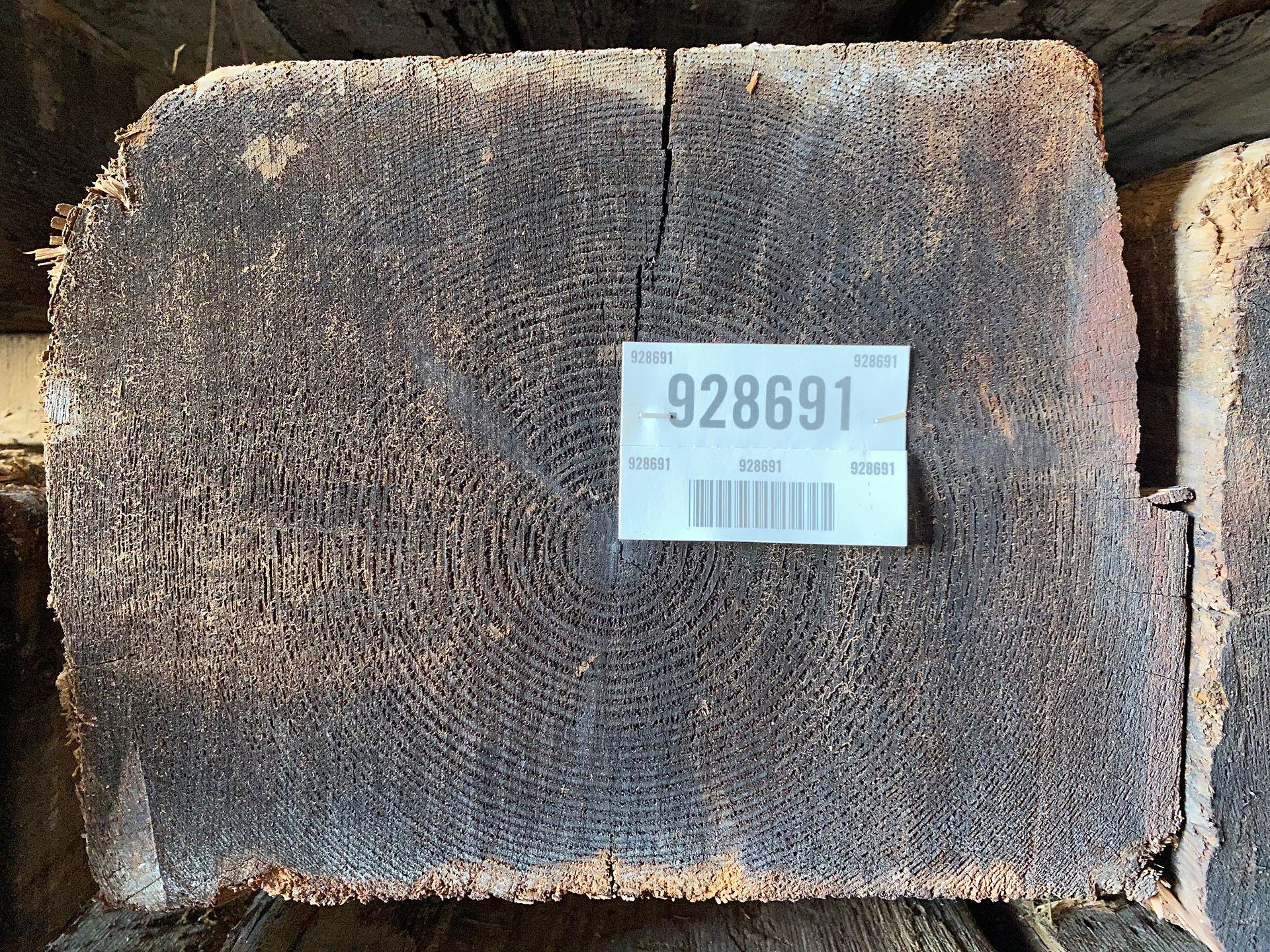 Dense old-growth Longleaf Pine in 15' lengths at American Timber Salvage.