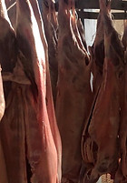 nuestros corderos en el matadero
