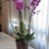 Thumbnail: Orquídea en Cristal