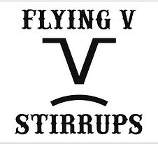 flying v.jpg