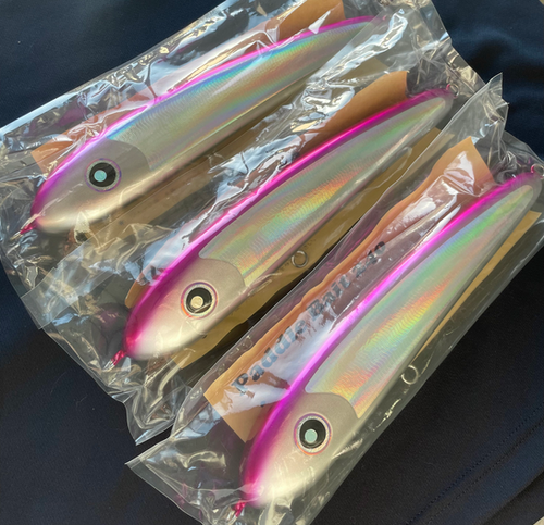 LOCAL STANDARD PADDLE BAIT 240 | Southern Angler