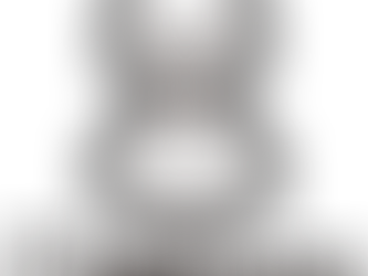 ホームページを公開いたしました