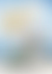 デイサービスゆめ組便り「映画　オレンジランプ」