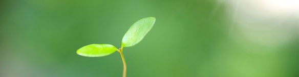 ihope-1920x500.jpg