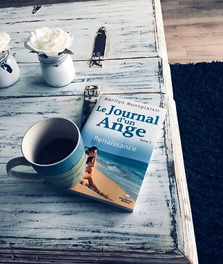 Une photo de lectrice du Journal d'un Ange, de Marilyn Montplaisir