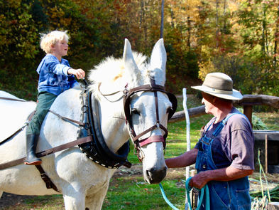 Sorghum Festival Has Sweet Spot for Appalachian Heritage