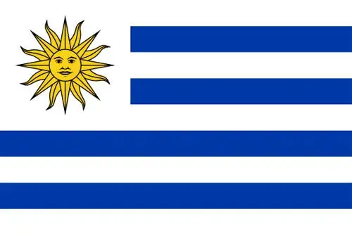 8-bandera-uruguay.webp