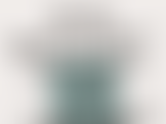 Wise Wednesday #16: Contests and Campaigns