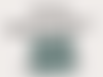 Wise Wednesday #18: Visual Content Creation