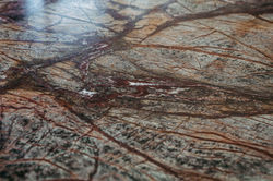 Stein Rain Forest Brown