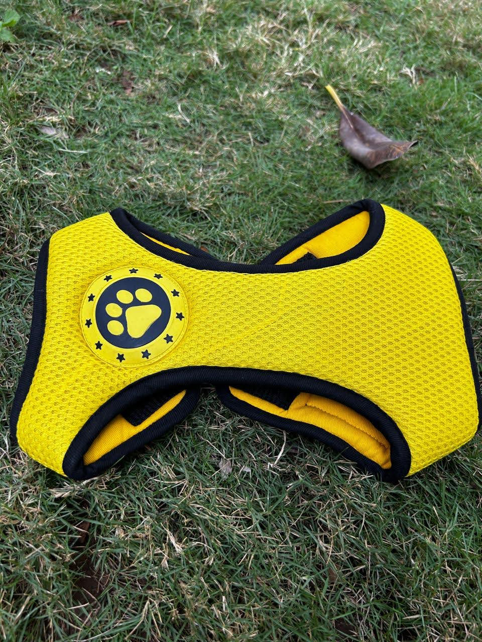 Thumbnail: Adjustable Body Harness