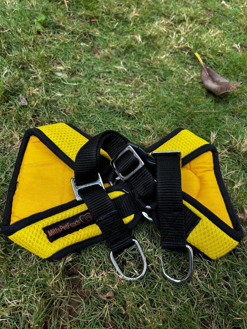 Thumbnail: Adjustable Body Harness