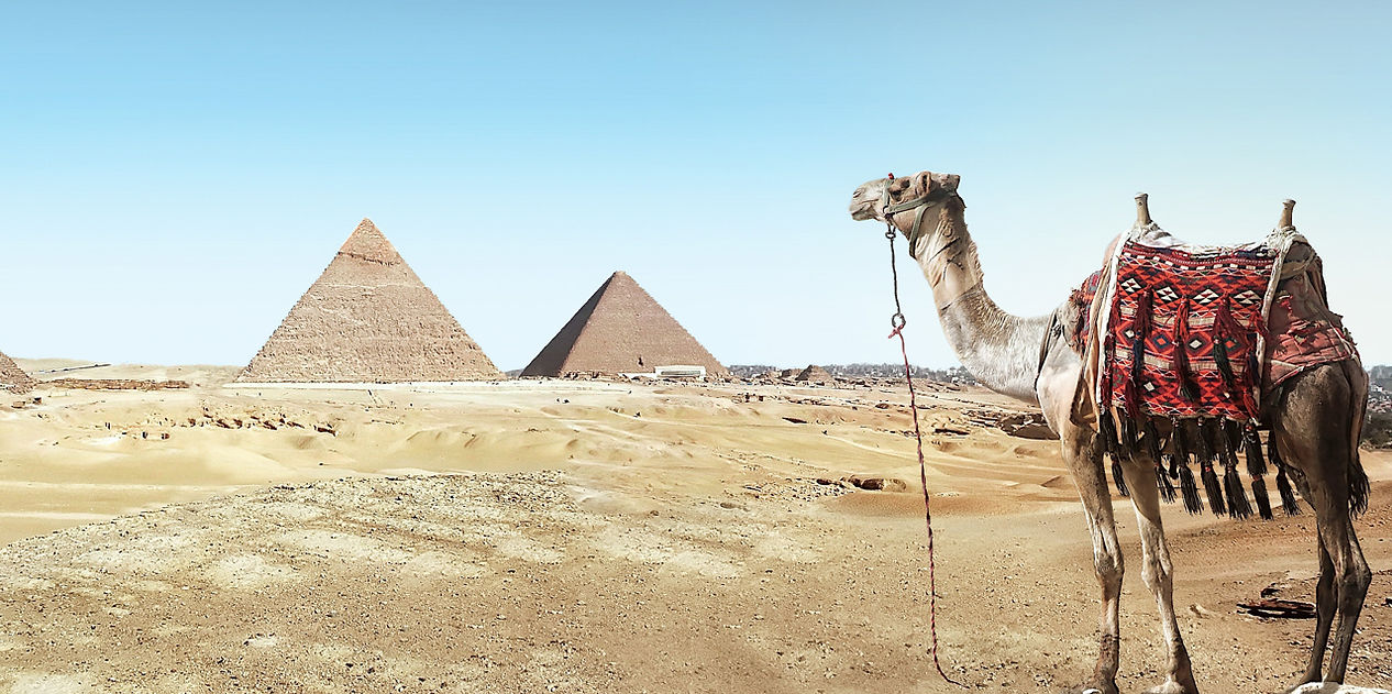 ancient-architecture-camel-931881.jpg