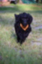 761E5EC8-5EAB-4A39-BD0F-E31CFACEE55A