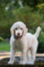 3FE12298-42A5-4BC0-8F5F-6EB594A8CCE5